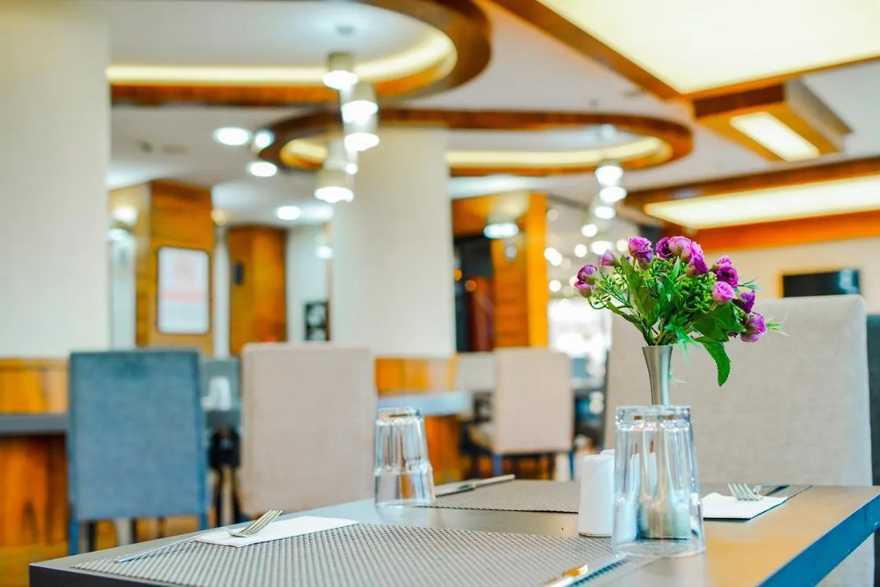 New Park Hotel Άγκυρα